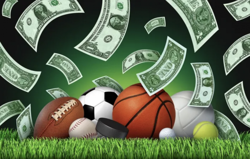 Cá cược Thể Thao đa dạng bộ môn cho người chơi